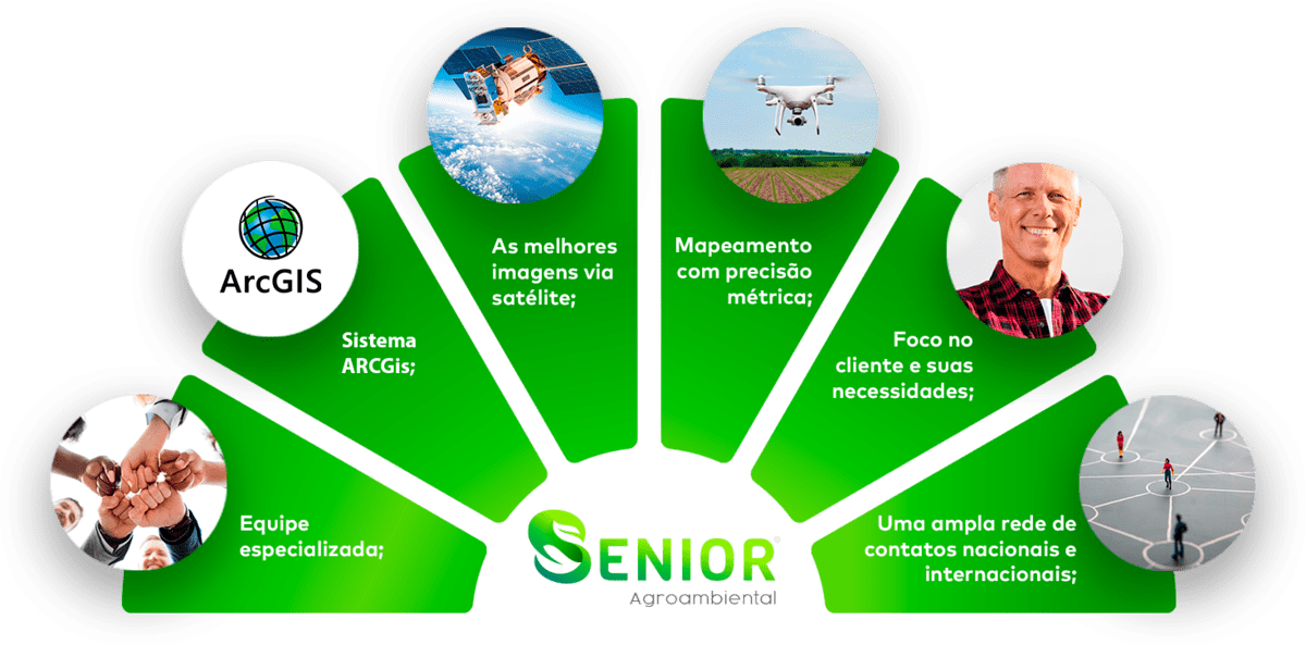 Grafico Senior - Senior Agroambiental